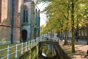 delft 13